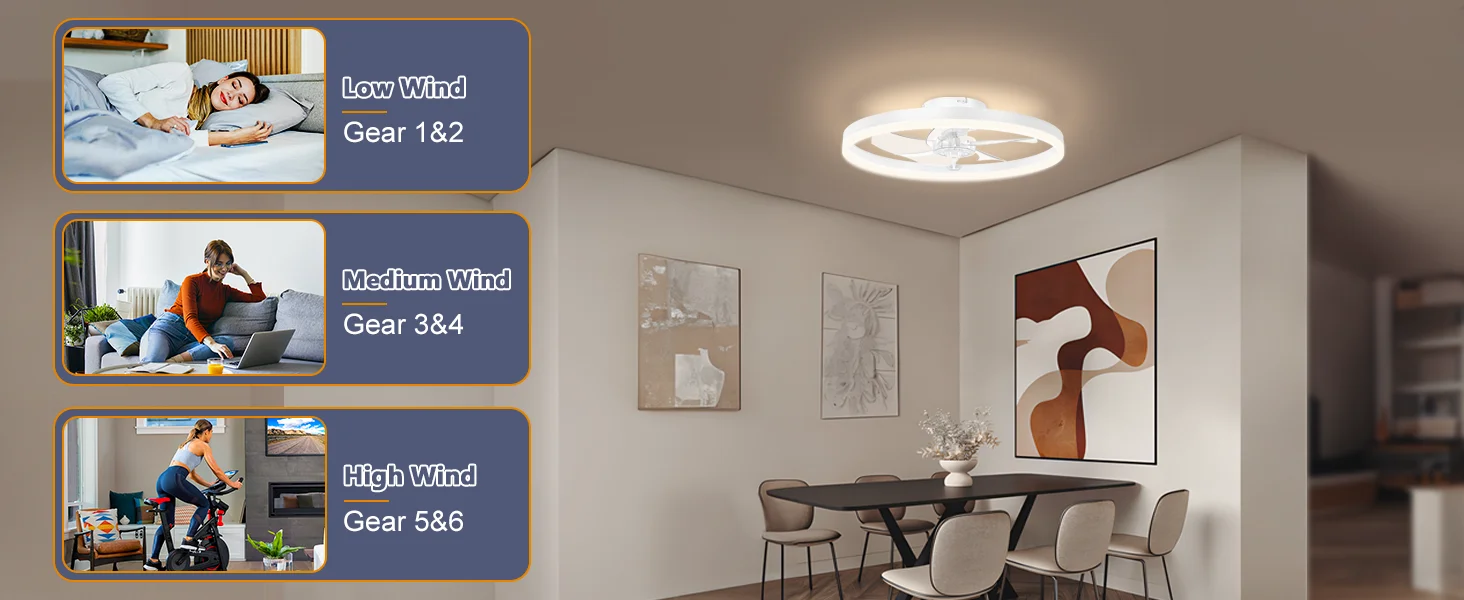 Modern Ceiling Fan LED Light