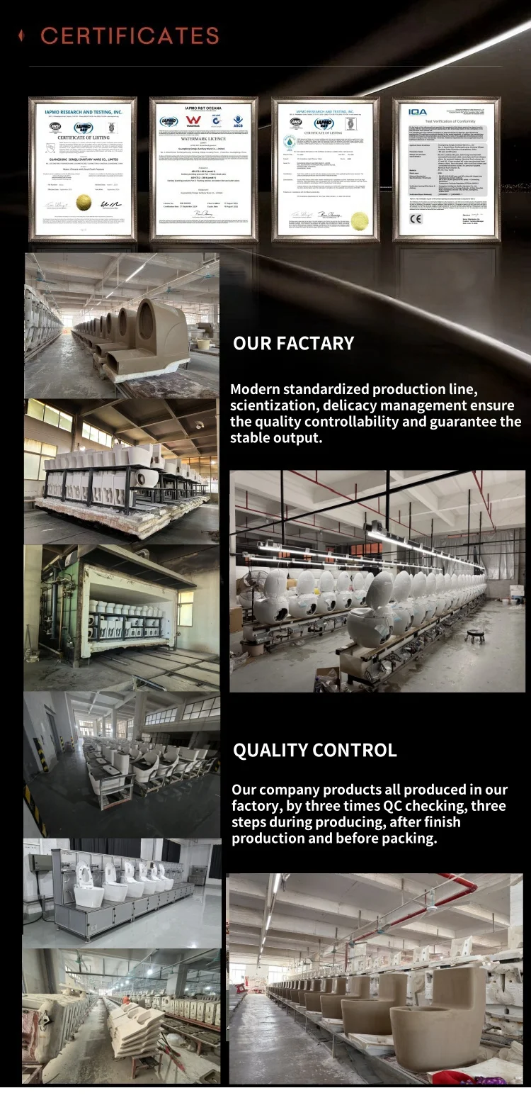 Auto-Washing & Deodorizing Intelligent Smart Toilet