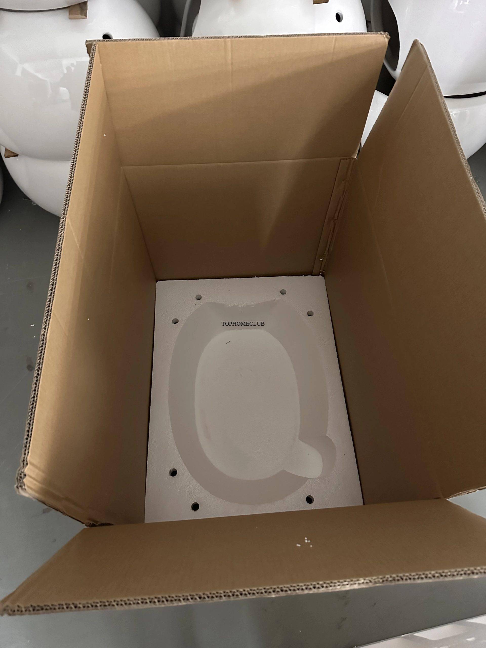 Auto-Washing & Deodorizing Intelligent Smart Toilet