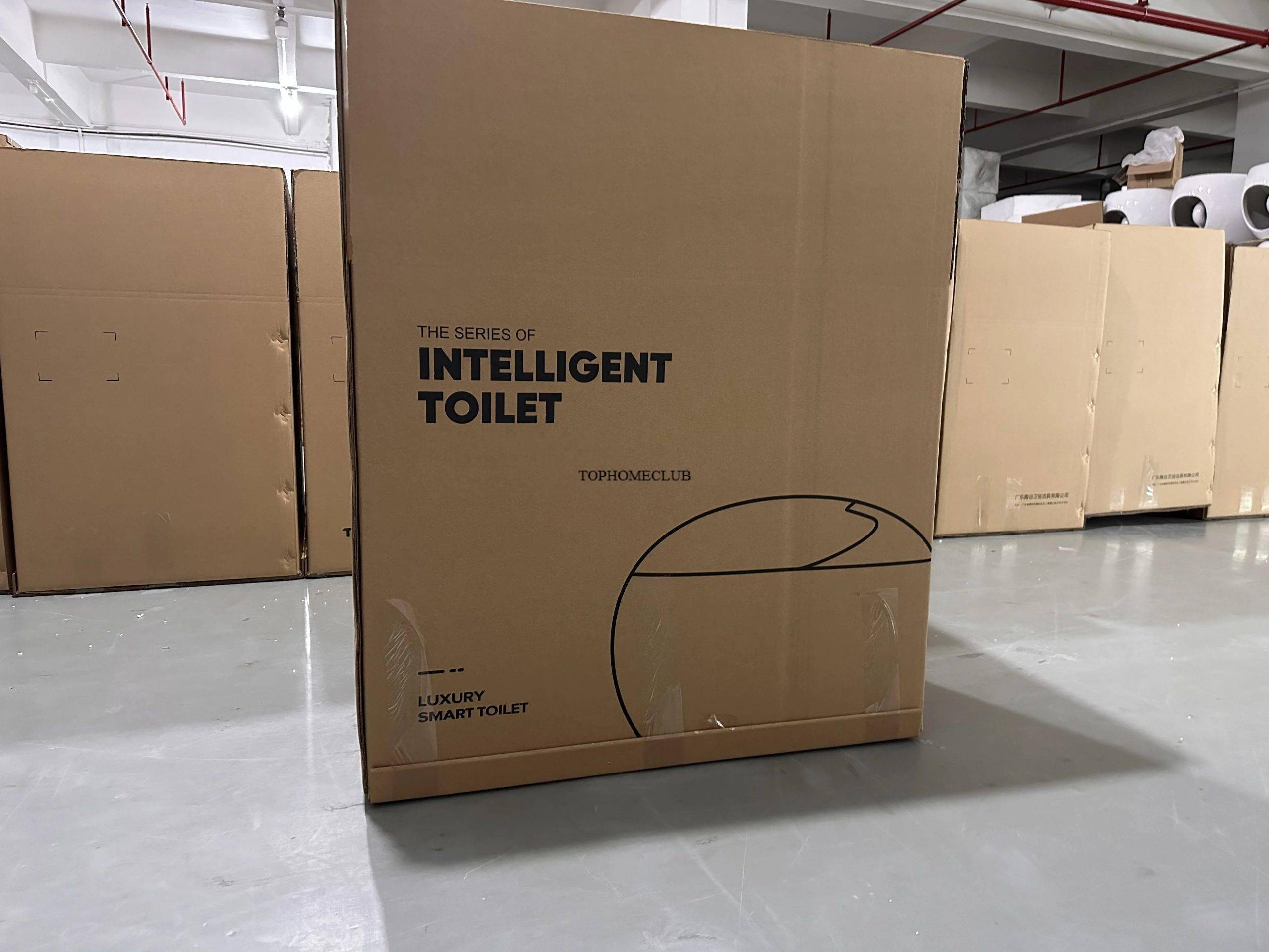 Auto-Washing & Deodorizing Intelligent Smart Toilet