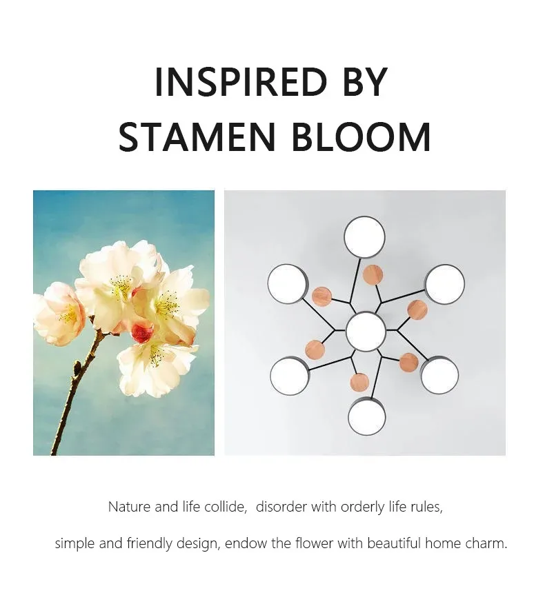 LED Chandelier with 3 Different Colors Suitable for Living Room