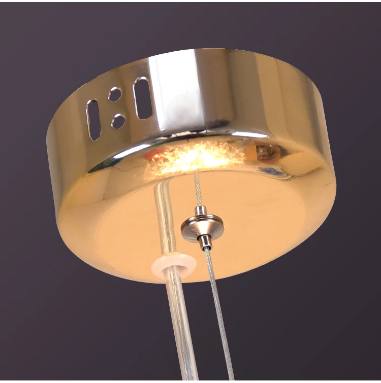 Modern Dandelion LED Lighting Pendant Lights