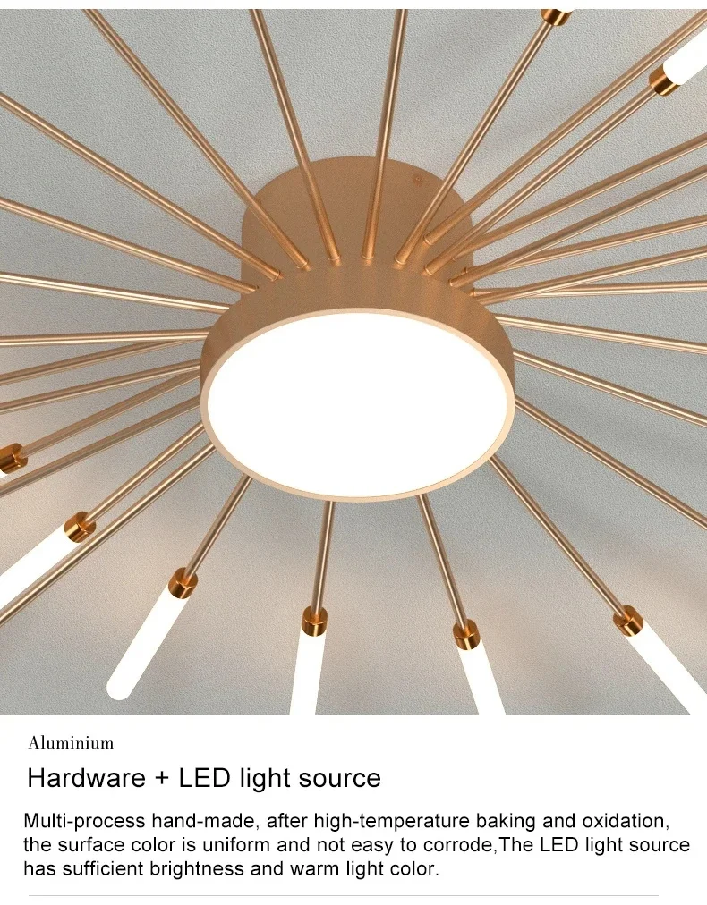 Modern Designer LED Ceiling Lamp Living Room Modern Designer LED Ceiling Lamp Living Room