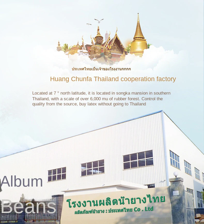 Top 100% Natural Latex Mattress