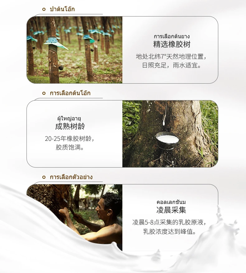 Top 100% Natural Latex Mattress