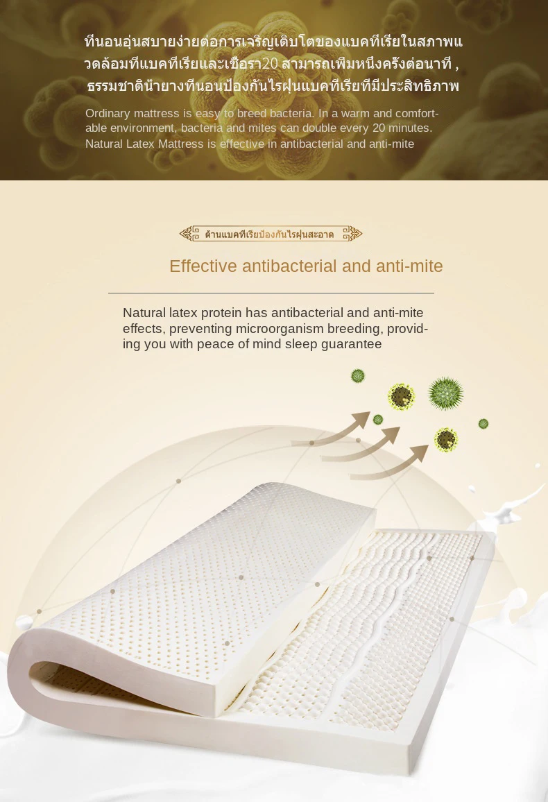 Top 100% Natural Latex Mattress