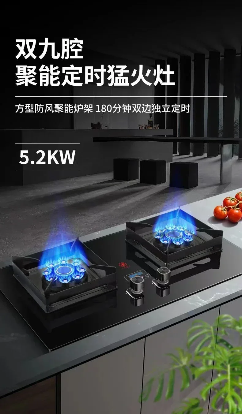 gas stove dual-purpose household