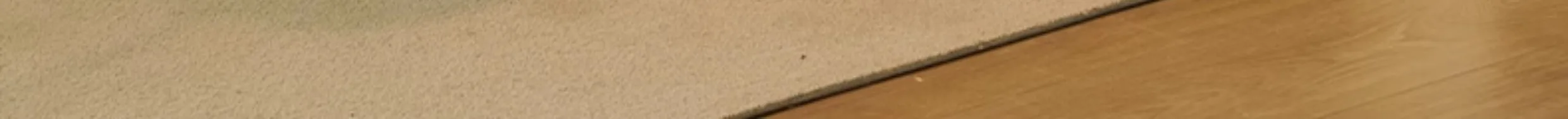 Lounge Game Living Room Sofa