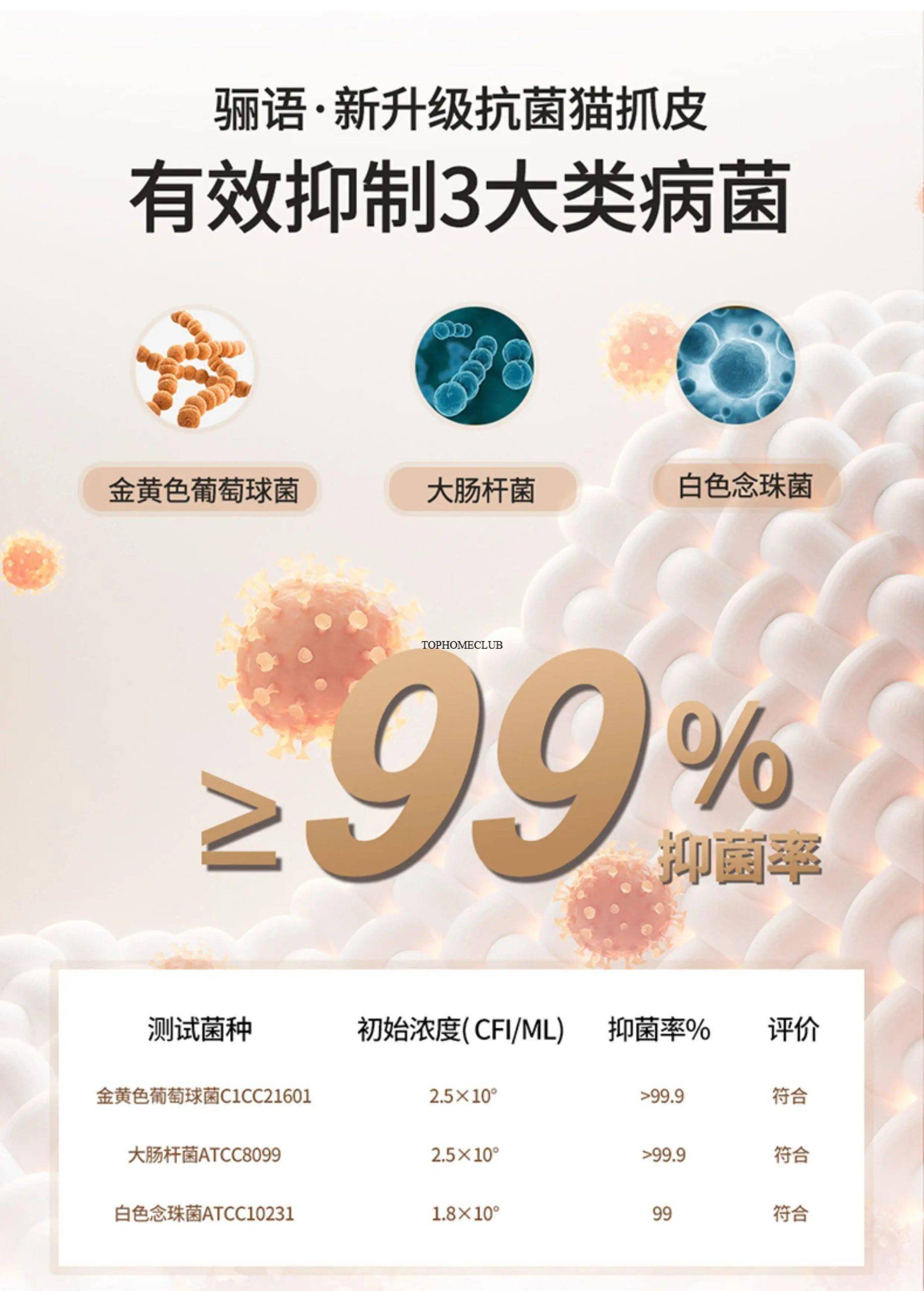 Modern Luxury Designer Nordic Divano Trendy Furniture Modern Luxury Designer Nordic Divano Trendy Furniture