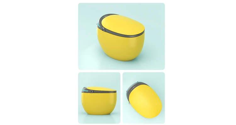 New High End Floor Mounted Automatic Flush Electric Toilet New High End Floor Mounted Automatic Flush Electric Toilet