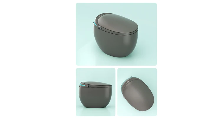 New High End Floor Mounted Automatic Flush Electric Toilet New High End Floor Mounted Automatic Flush Electric Toilet