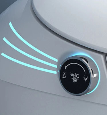 New High End Floor Mounted Automatic Flush Electric Toilet New High End Floor Mounted Automatic Flush Electric Toilet