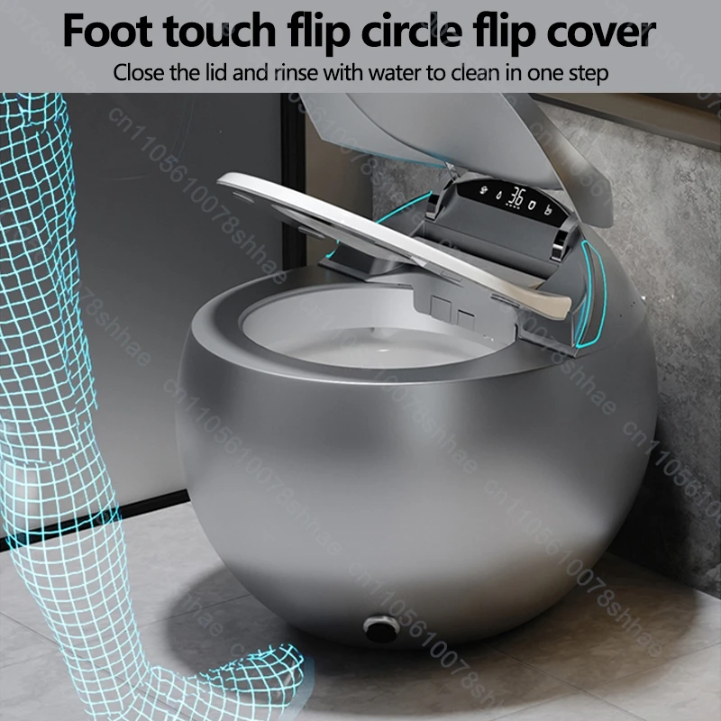 Smart Toilet Bidet with Auto Flush Heated Seat Warm Water Sprayer