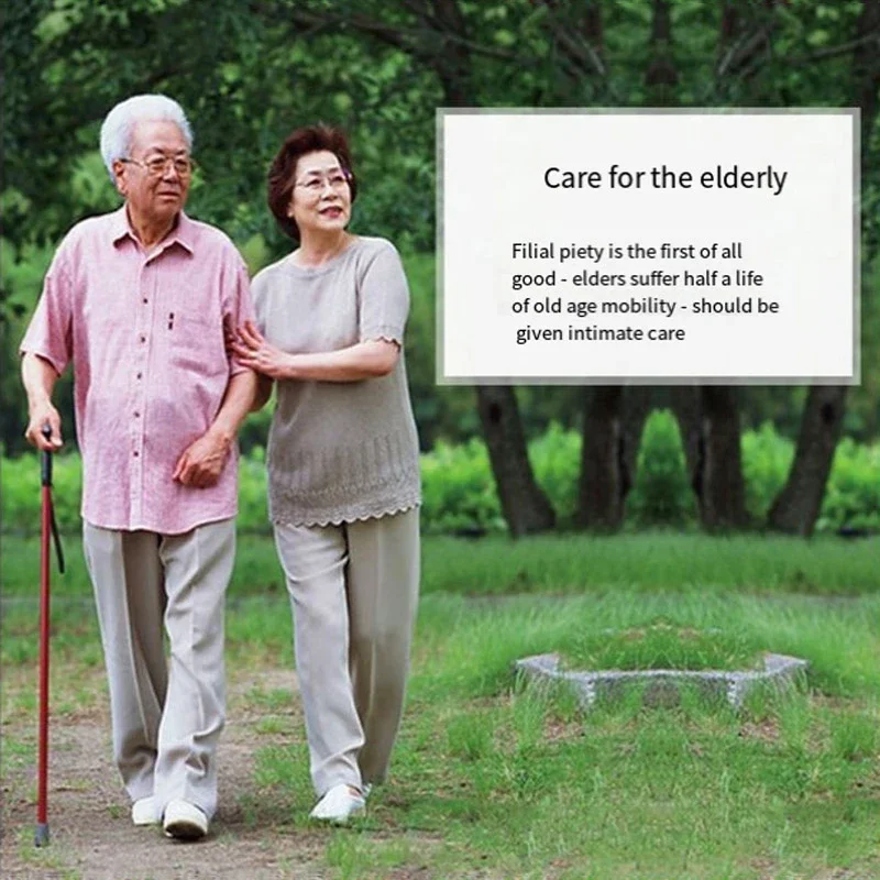 Elderly Pregnant Women Children Double Water Toilet