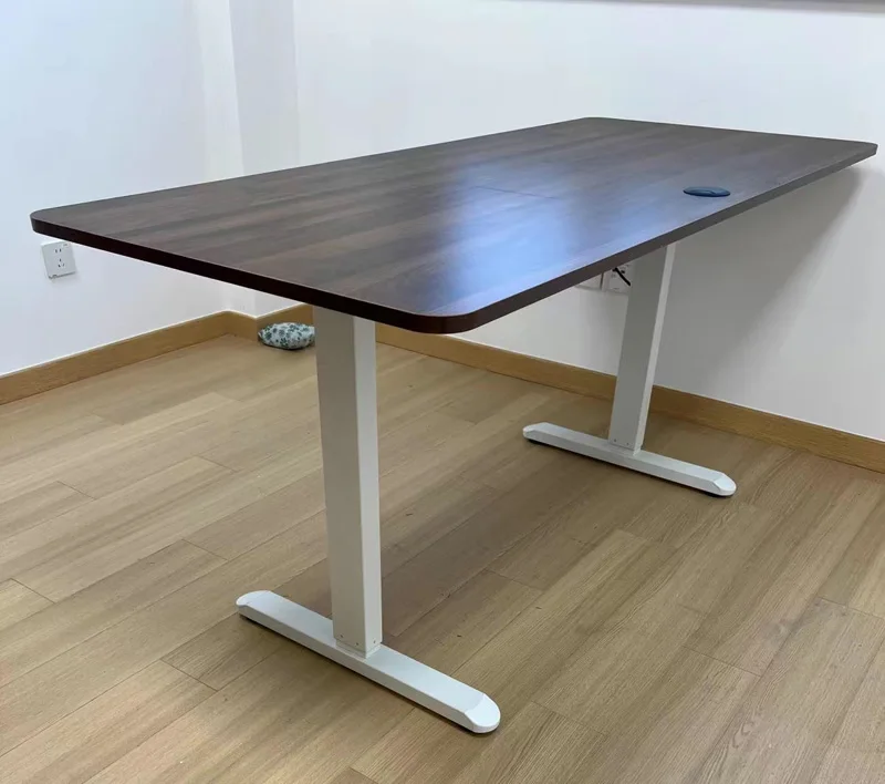 Single Motor Smart Electric Lift Computer Table