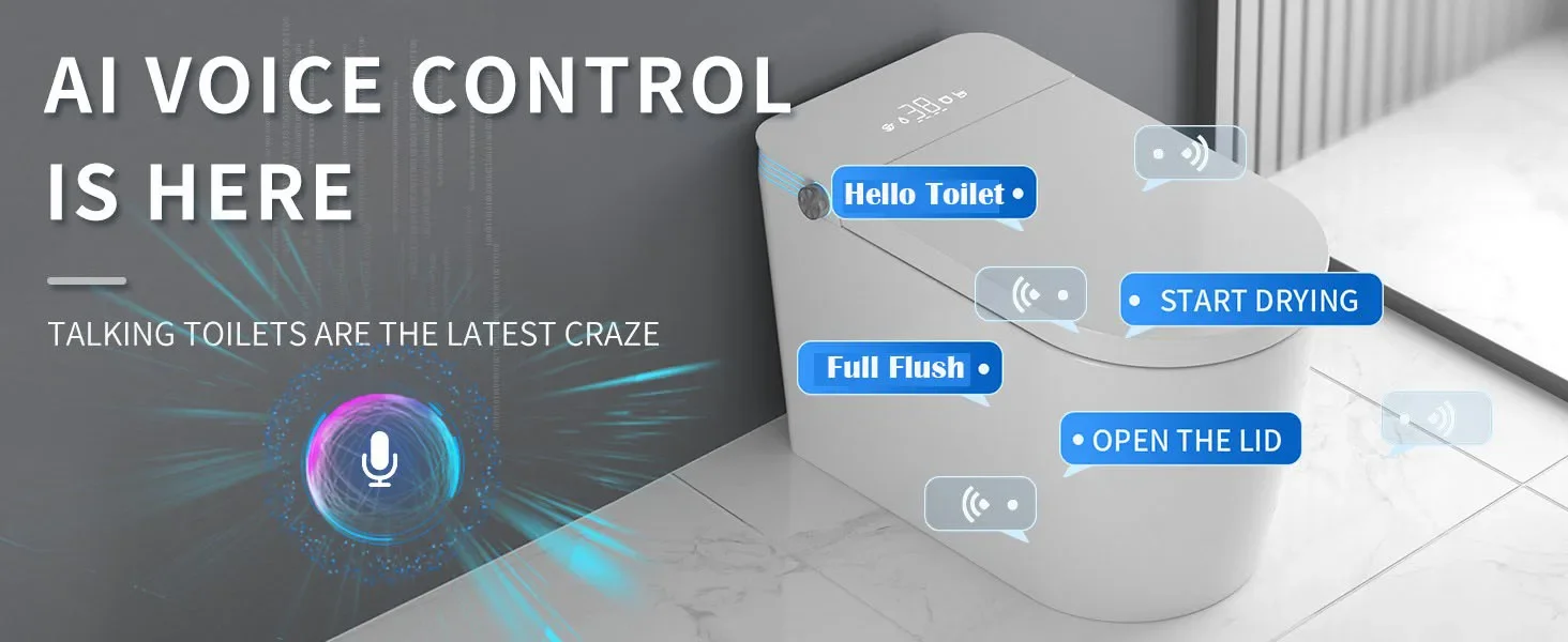 Smart Toilet with Bidet Built In