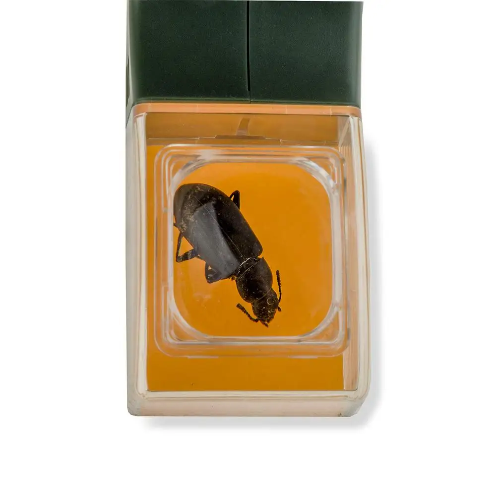 Handheld Insect Catcher Tool Portable Fly Catcher Bug Grabber Spider Catcher Insect Trap for Home Kitchen Kids Learning Tool Handheld Insect Catcher Tool Portable Fly Catcher Bug Grabber Spider Catcher Insect Trap for Home Kitchen Kids Learning Tool