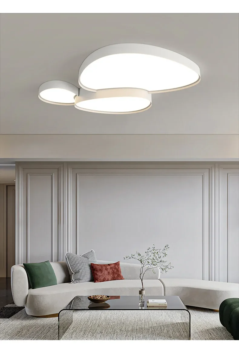 Modern Simple LED Ceiling Lamp Remote Control Black White Light Home Creative Indoor Lighting Bedroom Living Dining Room Fixture