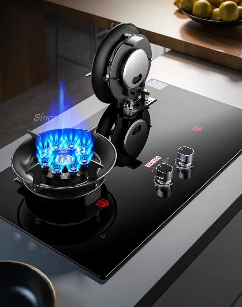 Kitchen Gas Stoves Home Dual Stove Kitchen Embedded Nature Gas/LPG Timing Stove Desktop Dual-Use Cooktop Gas Panel Gas Cooker