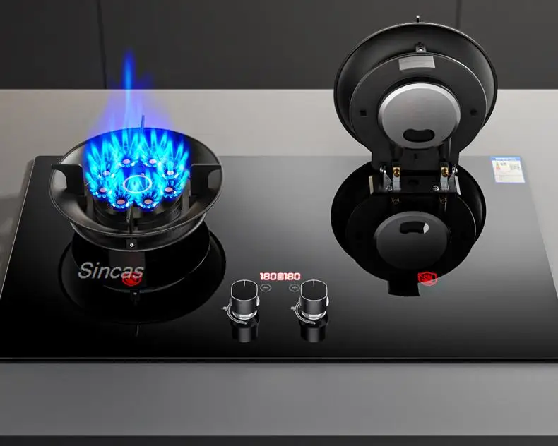 Kitchen Gas Stoves Home Dual Stove Kitchen Embedded Nature Gas/LPG Timing Stove Desktop Dual-Use Cooktop Gas Panel Gas Cooker