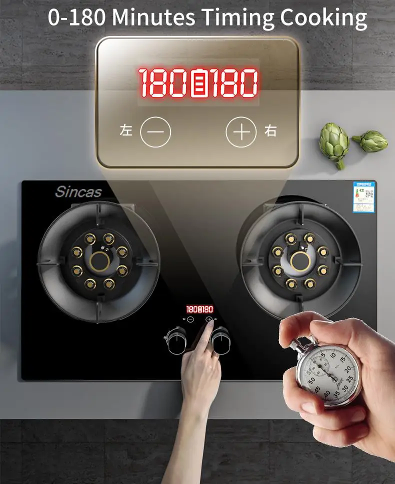 Kitchen Gas Stoves Home Dual Stove Kitchen Embedded Nature Gas/LPG Timing Stove Desktop Dual-Use Cooktop Gas Panel Gas Cooker