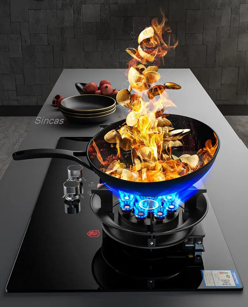 Kitchen Gas Stoves Home Dual Stove Kitchen Embedded Nature Gas/LPG Timing Stove Desktop Dual-Use Cooktop Gas Panel Gas Cooker
